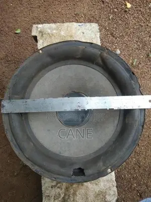 Pyramid PY 12" Speaker