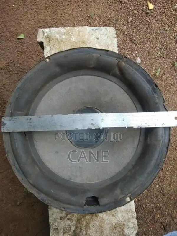 Pyramid PY 12" Speaker