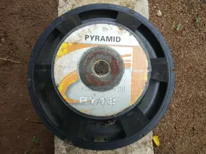 Pyramid PY 12" Speaker