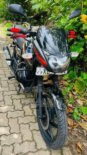 Bajaj Pulsar 150 2011