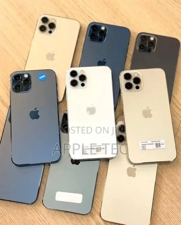 Apple iPhone 12 Pro Max 256GB (Used)