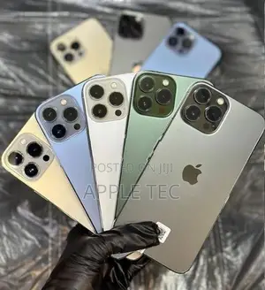 Apple iPhone 13 Pro Max 256GB (Used)