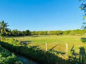 Land for Sale Tissamaharama