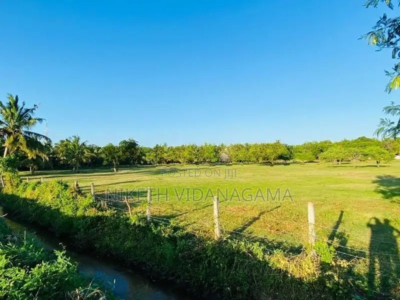 Land for Sale Tissamaharama