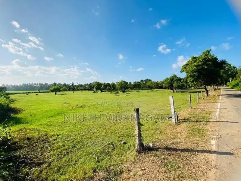 Land for Sale Tissamaharama