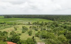Land for Sale Tissamaharama