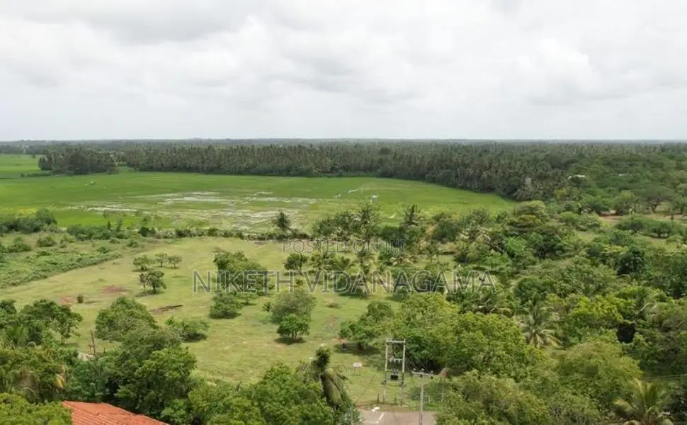 Land for Sale Tissamaharama