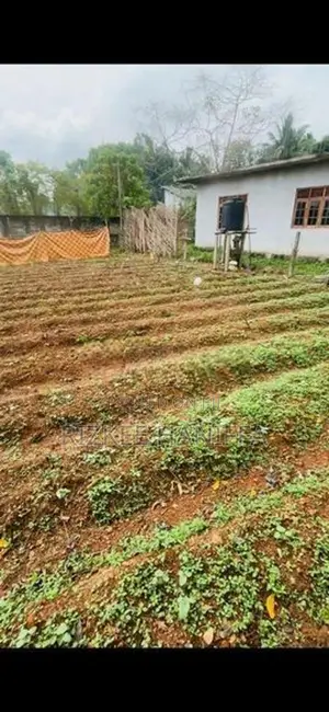 Land For Sale Dompe (kapugoda - malinda)
