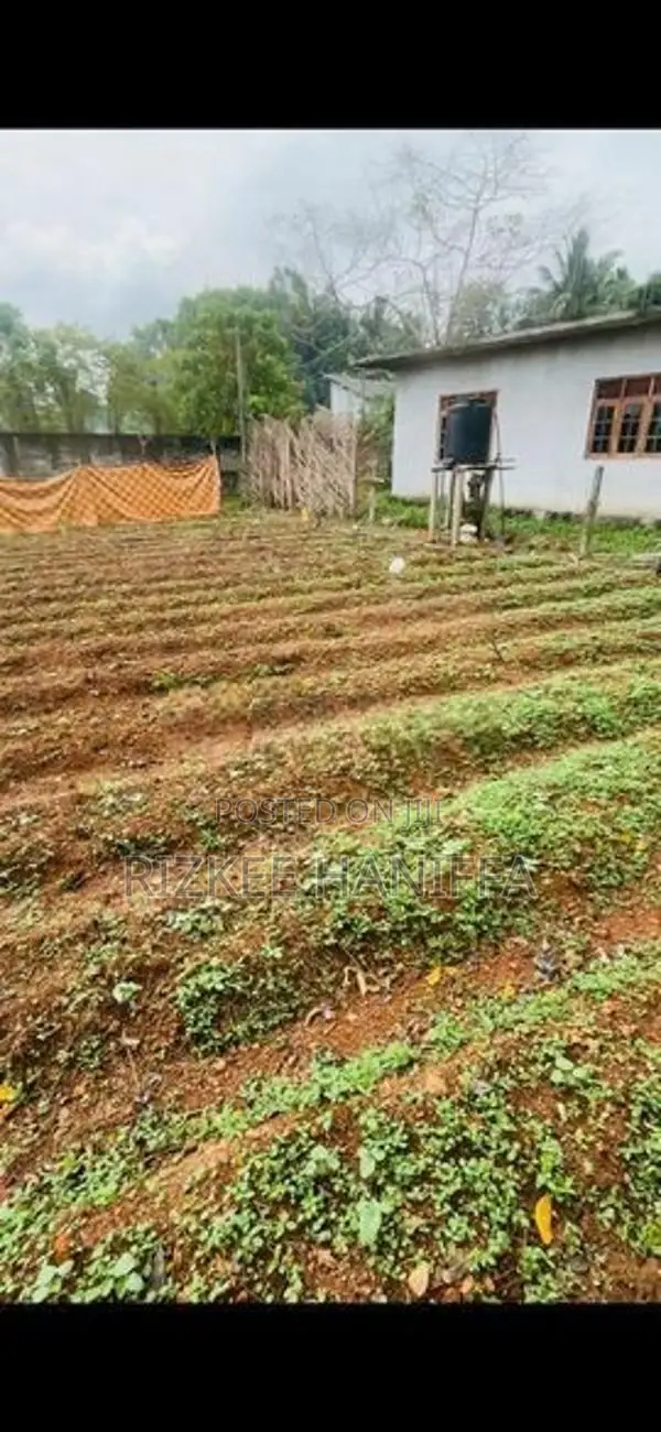 Land For Sale Dompe (kapugoda - malinda)