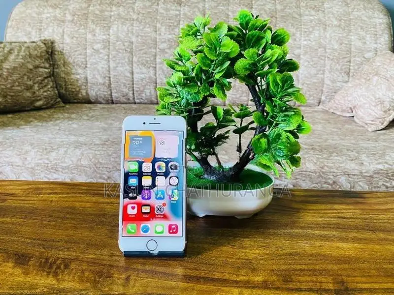 Apple iPhone 7 128GB (Used)