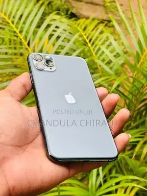 Apple iPhone 11 Pro Max 256GB (Used)