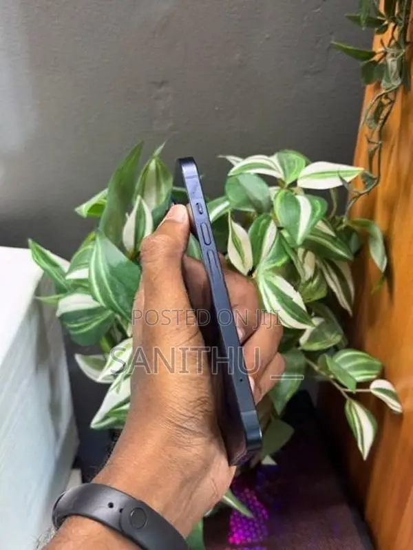 Apple iPhone 13 128GB (Used)