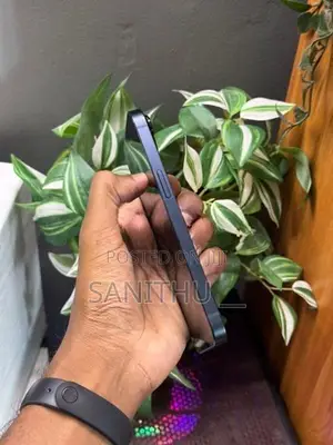 Apple iPhone 13 128GB (Used)