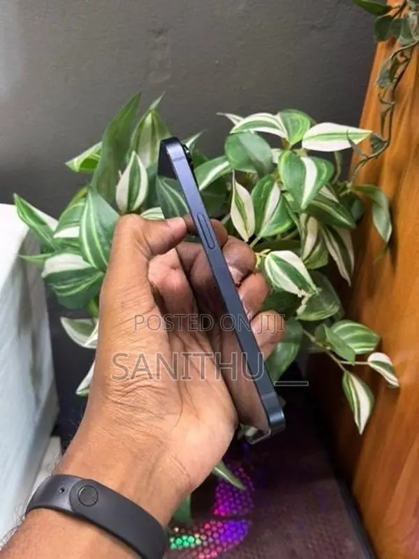 Apple iPhone 13 128GB (Used)