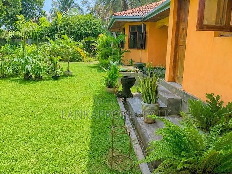 Spacious House with Bungalow for Sale in Katuwapitiya, Negombo.