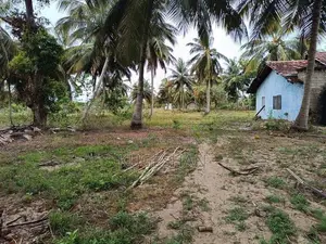 80P Land for Sale with House - சங்கமன்கந்த மணல்சேனை