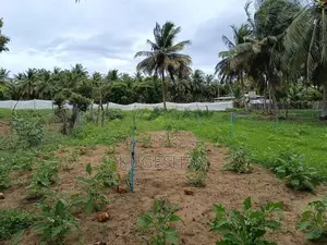 80P Land for Sale with House - சங்கமன்கந்த மணல்சேனை