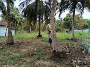 80P Land for Sale with House - சங்கமன்கந்த மணல்சேனை