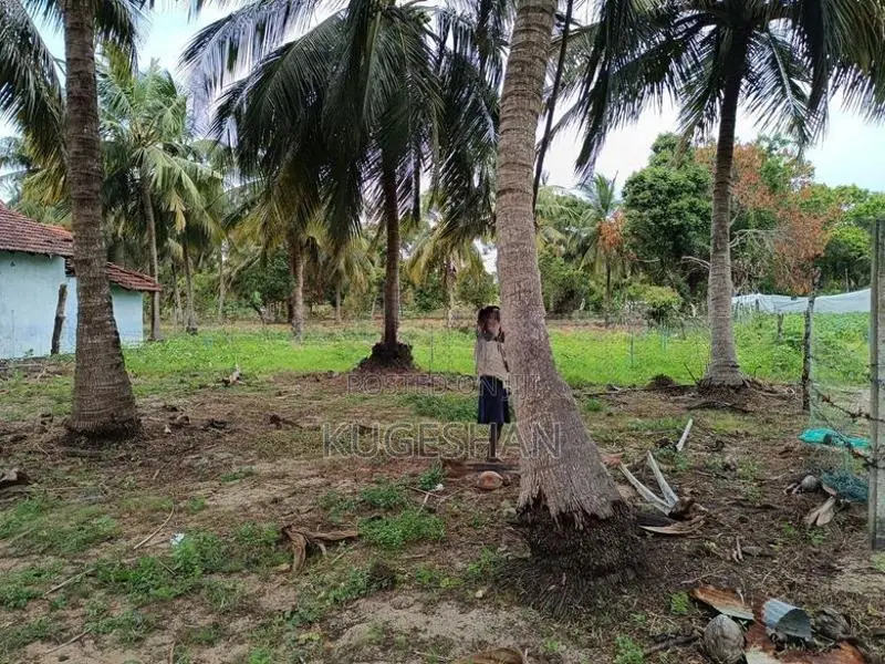 80P Land for Sale with House - சங்கமன்கந்த மணல்சேனை