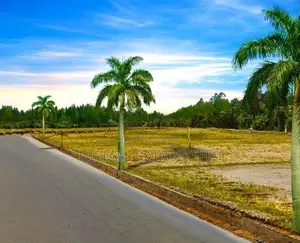 Excellent Land for Sale in Nawagamuwa