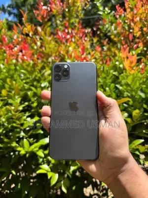 Apple iPhone 11 Pro Max 256gb (Used)