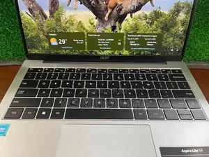 Acer N100 Laptop