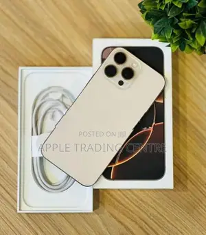 Apple iPhone 16 Pro Max 256GB (Used)