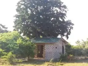 Land for Sale – Tissamaharama (Near Sithulpawwa / Yala Road)