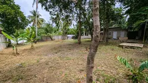 කඩවත – ඉඹුල්ගොඩින් වටිනා බිම්කොටසක් විකිණීමට