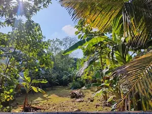 Land for Sale - 29.8 Perches in Battaramulla (A3557)