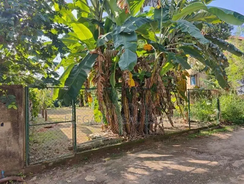 Land for Sale - 29.8 Perches in Battaramulla (A3557)