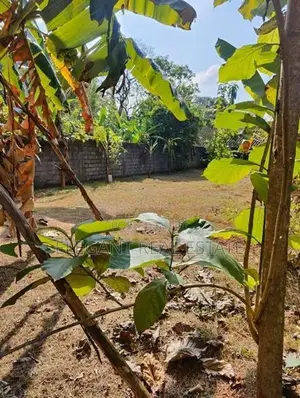 Land for Sale - 29.8 Perches in Battaramulla (A3557)