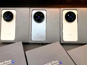 Vivo X300 Pro 5G (Used)