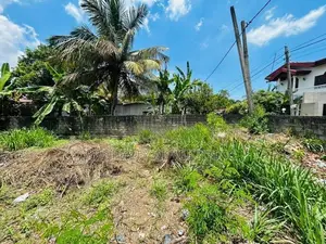 Wattala – Prime Main Road Facing Land for Sale