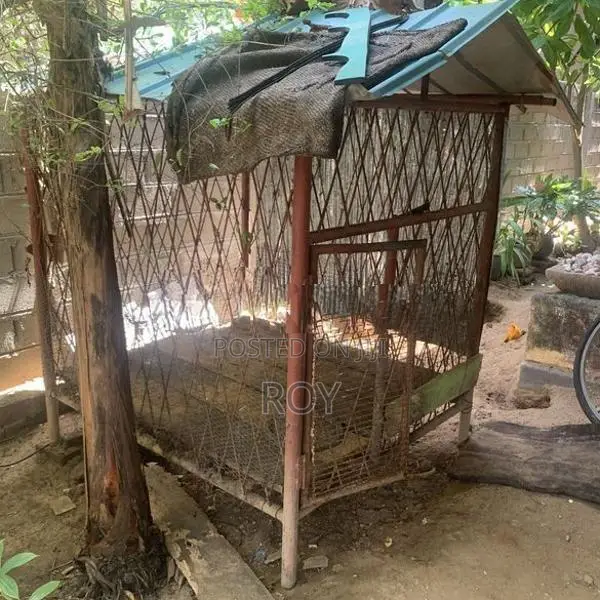 Dog cage