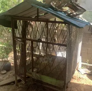 Dog cage