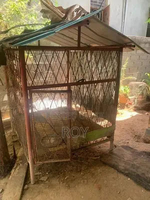 Dog cage
