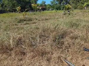 Land for Sale Valaichenai