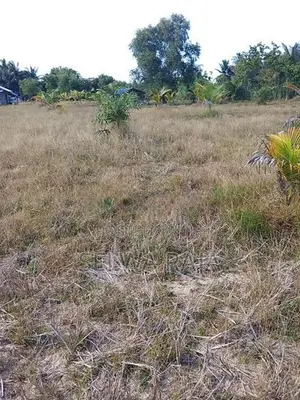 Land for Sale Valaichenai