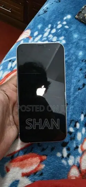 Apple iPhone 12 Pro Max (Used)