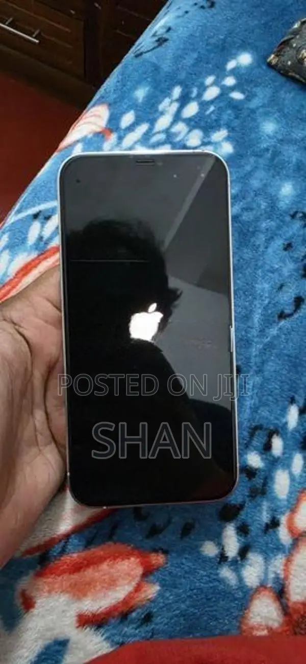 Apple iPhone 12 Pro Max (Used)