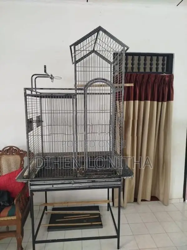 Bird Cage