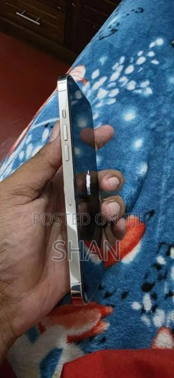 Apple iPhone 12 Pro Max (Used)