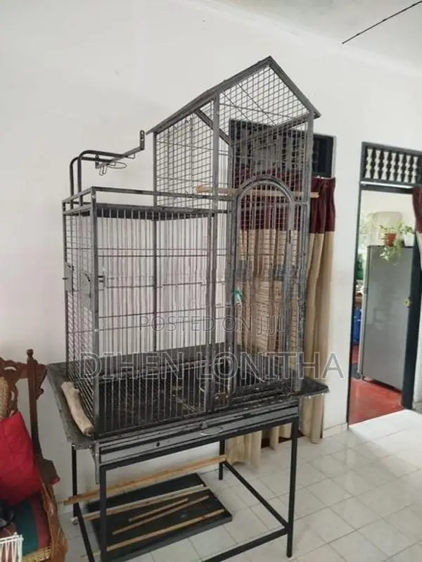 Bird Cage