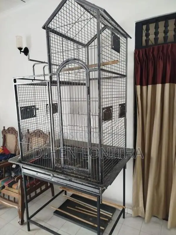 Bird Cage