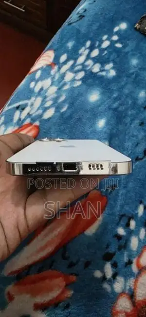Apple iPhone 12 Pro Max (Used)