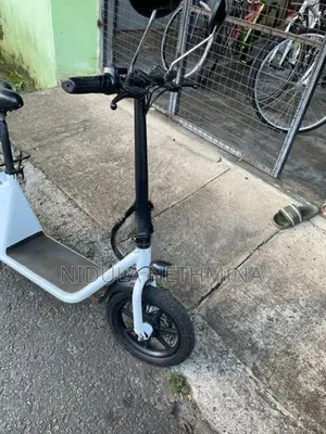 Electric Bike 2024