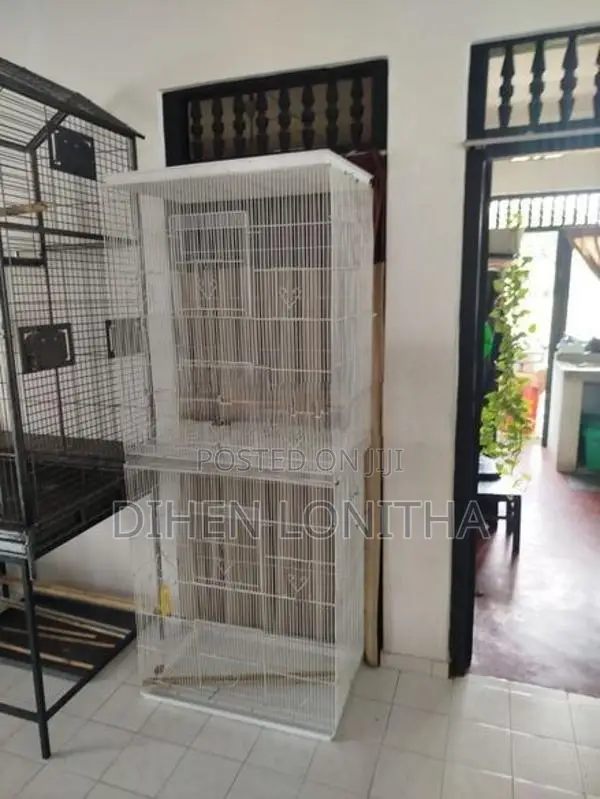 Bird Cage