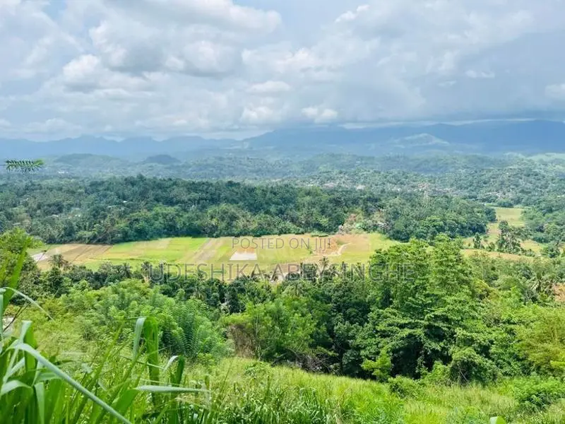 Scenic Land for Sale – Matale