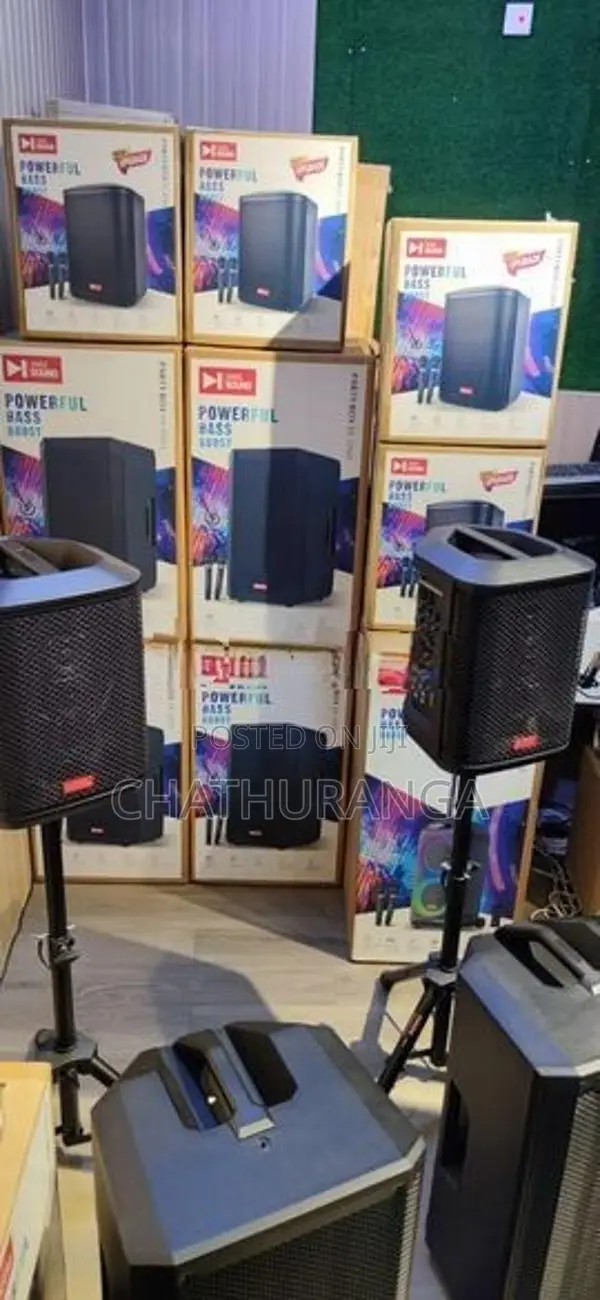 Swiss Sound SS804 Party Box Speaker